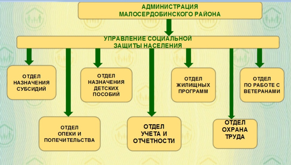 Структура организации